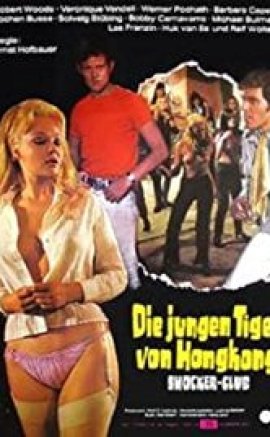 Die jungen Tiger von Hongkong izle