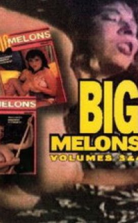 Big Melons 3 (1985) izle